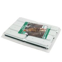 Artikel OASIS® Tafel Deco medi 25cm x 9cm x 5cm 8 st