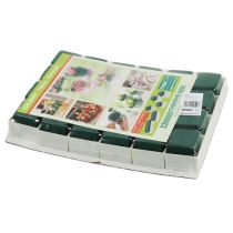 Artikel OASIS® Tafel Design 6cm Neo &amp; Viva 24 st.