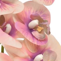 Artikel Orchidee Phalaenopsis kunst 7 bloemen paars crème 73cm