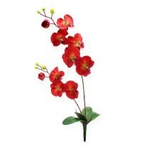 Decoratieve orchidee rood 68cm