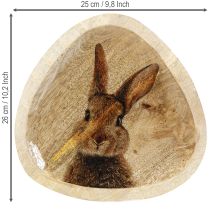 Artikel Paasbord Houten Decoratief Bord Konijn in Ei Naturel 25x26cm