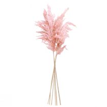 Artikel Gedroogd Pampasgras Roze 65-75cm Gedroogde Bloemendecoratie 6 st.
