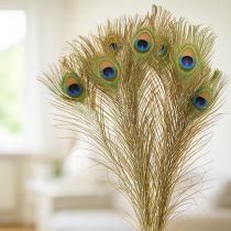 Artikel Decoratie met pauwenveren, echte vogelveren, lengte 75-85 cm, 8 stuks