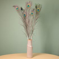 Artikel Decoratie met pauwenveren, echte vogelveren, lengte 75-85 cm, 8 stuks