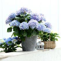 Artikel Plantenbak, sierpot met handvatten, metalen plantenpot Ø25,5cm