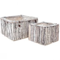 Artikel Plantenbak hout met schors naturel wit 17/24cm set van 2 stuks