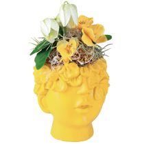Artikel Plantenkop buste polyresin plantenbak geel 13,5×13×14cm