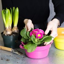 Artikel Metalen plantenbak, origineel ontwerp voor verfijnde woonruimtes en stijlvolle decoratie, 17 cm, 3 stuks