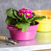 Artikel Metalen plantenbak, origineel ontwerp voor verfijnde woonruimtes en stijlvolle decoratie, 17 cm, 3 stuks