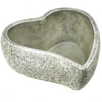 Artikel Plantenschaal hart grafdecoratie plant hart grijs wit 18×19cm H7,5cm