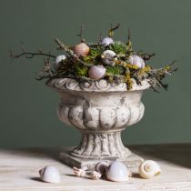 Artikel Plantenschaal kleine plantenpot trofee antiek beton Ø15cm H13cm