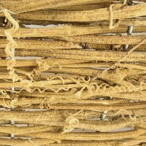 Artikel Plantenschaal schaal rond wijnstok naturel Ø23cm H9,5cm