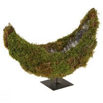 Artikel Plantenschaal op voet mos decoratief halve maan 40×15×30cm