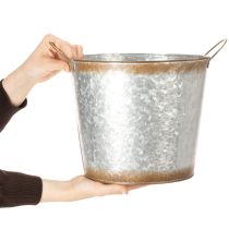 Artikel Bloempot met handvatten, decoratieve schaal met roestkleurige afwerking, zilverkleurige metalen pot Ø26cm H25.5cm