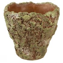 Artikel Plantenpot rustieke plantenbak groen bruin Ø21cm H19,5cm