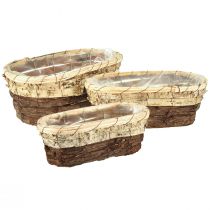 Artikel Plantenbak, natuurlijk hout, 3-kleurig, L29,5/25/23cm, set van 3