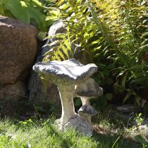 Artikel Paddenstoeldecoratie gegoten steen grijs wit gewassen 21,5×18×22cm