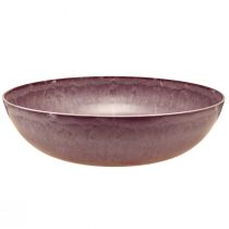 Artikel Elegante paarse plastic schaal 37x10,5 cm - veelzijdig ter decoratie - 3 stuks