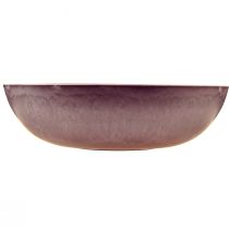 Artikel Elegante paarse plastic schaal 37x10,5 cm - veelzijdig ter decoratie - 3 stuks