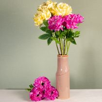 Artikel Kunstmatige ranunculusbloem, een gedetailleerde replica voor woonkamer- en kantoordecoratie, 55 cm, 6 stuks