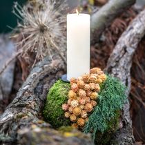 Artikel Salignum light 4-6 bloemen op de Leucadendron tak 100 stuks