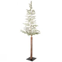Artikel Smalle kerstboom kunstspar met sneeuw 40x150cm
