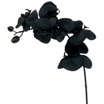 Orchidee ter decoratie Zwart 54cm