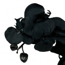 Orchidee om te decoreren Zwart 54cm