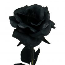 Roos Zijden Bloem Zwart 63cm