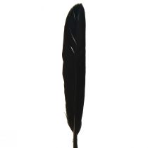 Artikel Zwarte Veren Decoratieve Ganzenveren Zwart 11-14cm 180 st