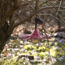 Artikel Solar LED Bloementuinlamp LED Metaal Roze Ø30cm