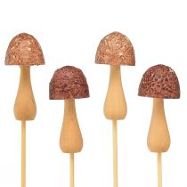 Artikel Bloemplug paddestoel sierplug hout bruin Ø2,5cm 8 stuks