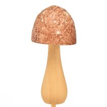 Artikel Bloemplug paddestoel sierplug hout bruin Ø2,5cm 8 stuks