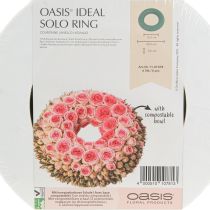 Artikel OASIS® Bloemenschuim Kransring Groen H3cm Ø25cm 6 stuks