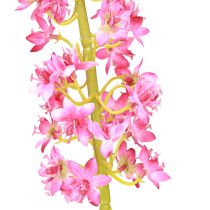 Artikel Steppe kaars Desert Tail Roze 106cm