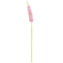 Artikel Steppe kaars Desert Tail Roze 106cm