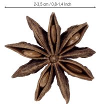 Artikel Steranijs decoratie knutselartikelen natuurlijke decoratie gedroogde anijs 500g