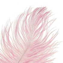 Artikel Struisvogelveren Echte Veren Decoratie Roze 20-25cm 12 st