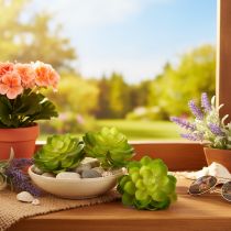 Artikel Kunstmatige vetplant, groen, voor decoratie in een schaal of vaas, 10 cm, 4 stuks