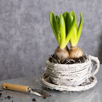 Artikel Theekopje van natuurlijk materiaal met een rustieke uitstraling, perfect voor een exclusieve interieurdecoratie (13 cm).