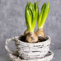 Artikel Theekopje van natuurlijk materiaal met een rustieke uitstraling, perfect voor een exclusieve interieurdecoratie (13 cm).