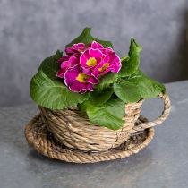 Artikel Theekopjesmandje voor een natuurlijke en sfeervolle woondecoratie (15 cm)
