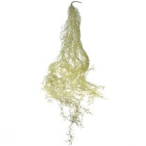 Artikel Tillandsia decoratieve hanglamp Tillandsia kunstgroen wit 180cm