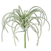 Artikel Tillandsia succulente kunstgroene planten 13cm