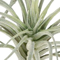 Artikel Tillandsia succulente kunstgroene planten 13cm