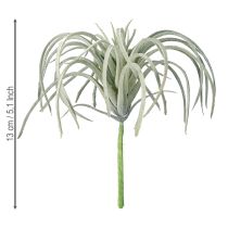 Artikel Tillandsia succulente kunstgroene planten 13cm