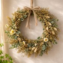 Artikel Gedroogde bloemen Broom Bloom Olijfgroen 160g 48cm