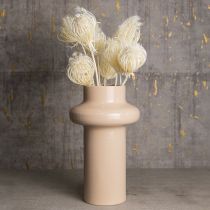 Artikel Gedroogde bloemen crème venkel gebleekt 45cm bos 10 stuks