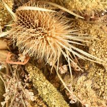 Artikel Droogkranskaart distels gierst geel olijfgroen Ø28cm