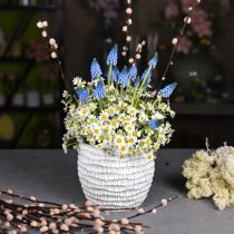 Artikel Plantenbak Beton Wit Vintage Honingraat Decoratieve Bloempot H15cm Ø15cm
